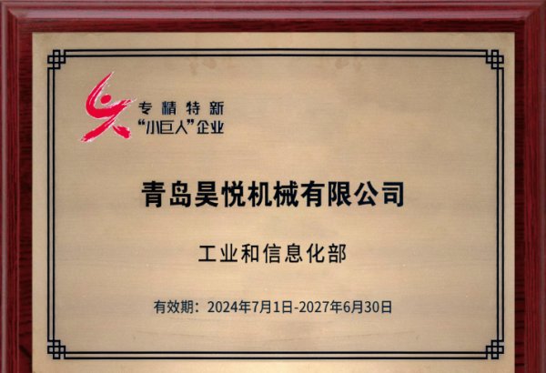 國家專精特新小巨人